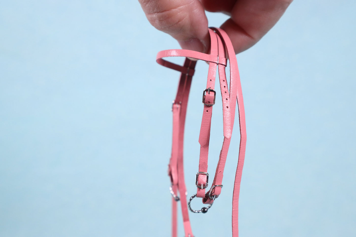 "Spring" Draft Horse Bridle