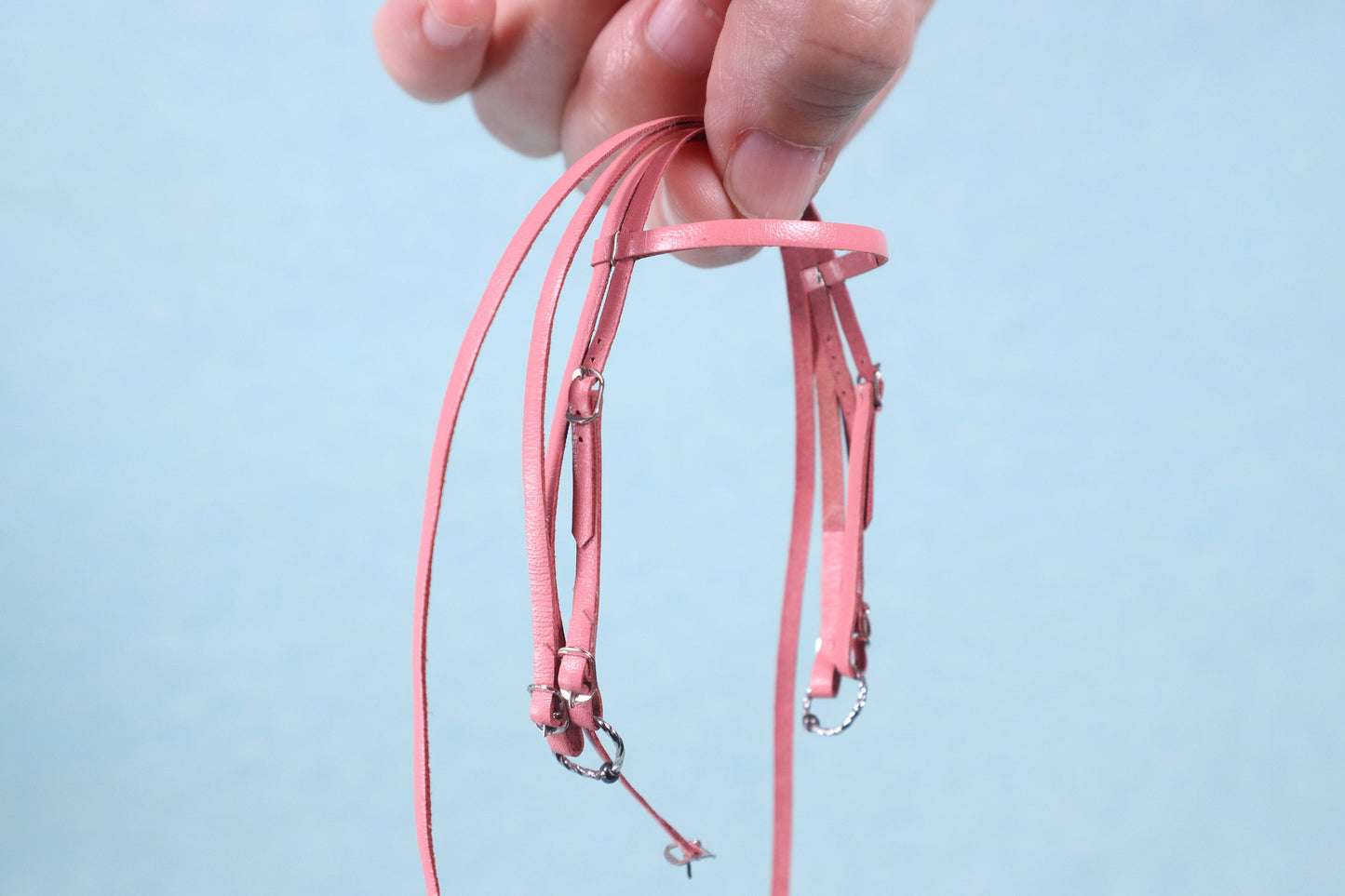 "Spring" Draft Horse Bridle