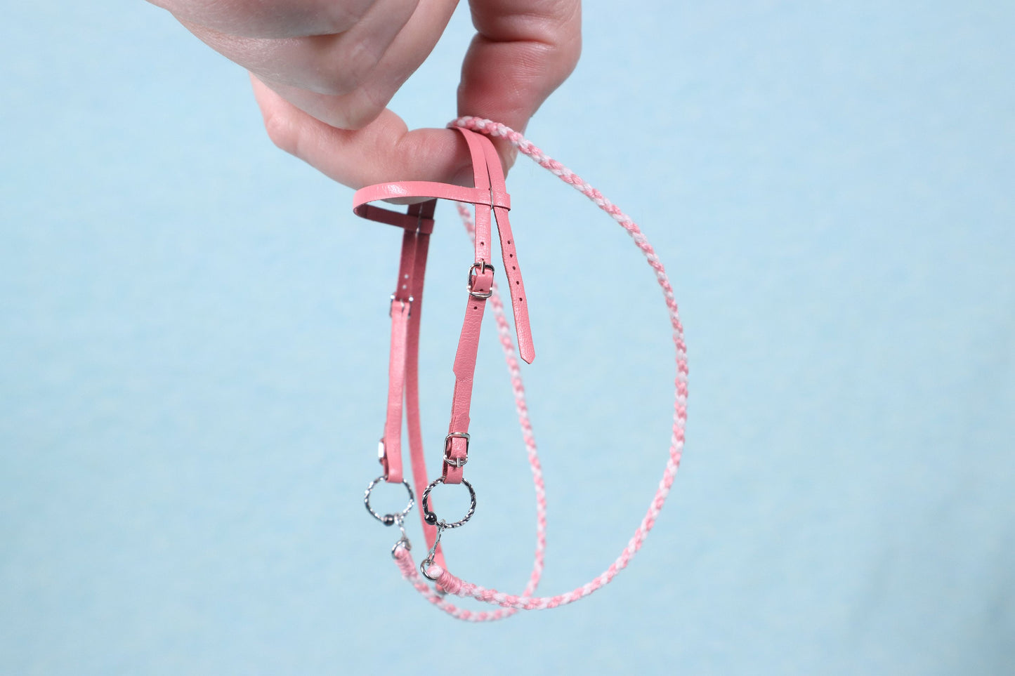 "Spring" Draft Horse Bridle