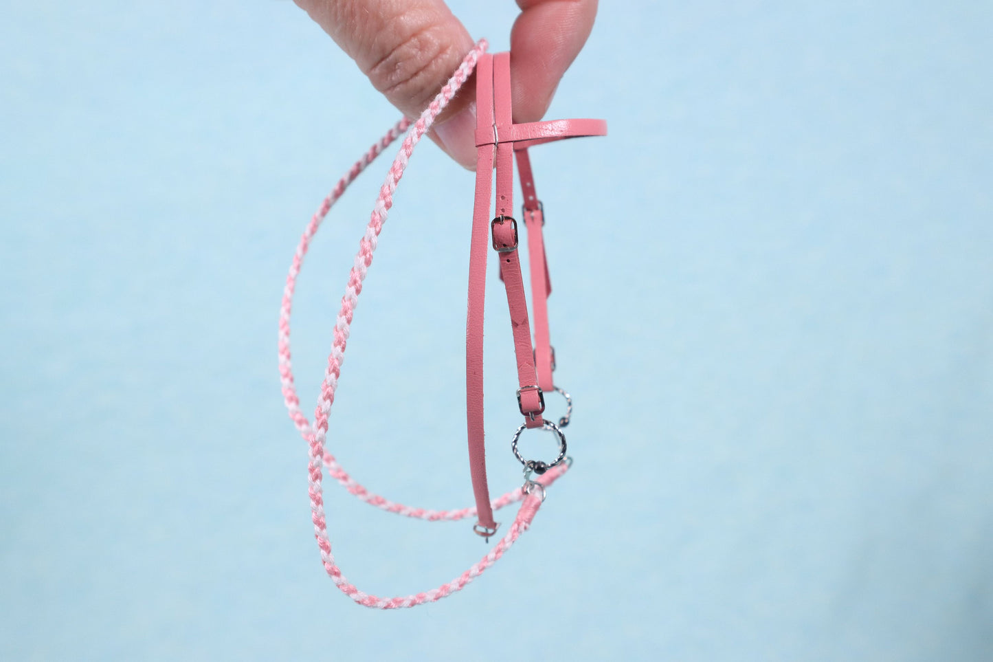 "Spring" Draft Horse Bridle