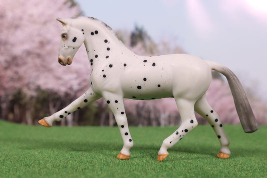 Etched Custom Breyer Stablemate Hanoverian - Black Leopard Snowcap Appaloosa